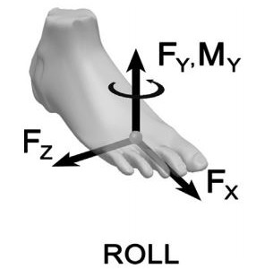 SR Hamner, A Seth, KM Steele, SL Delp, (2013) “A rolling constraint reduces ground reaction forces and moments in dynamic simulations of walking, running, and crouch gait.” Journal of Biomechanics