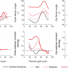 M Rosenberg, KM Steele (2017) “Simulated impacts of ankle foot orthoses on muscle demand and recruitment in typically-developing children and children with cerebral palsy and crouch gait.” PLoS ONE