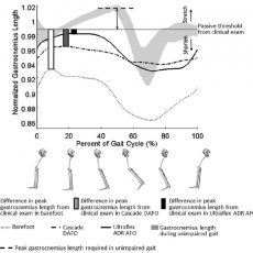 H Choi, TL Wren, KM Steele (2016) “Gastrocnemius operating length with ankle foot orthoses in cerebral palsy.” Prosthetics & Orthotics International