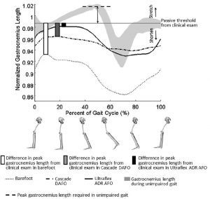 Example of gastrocnemius operating length from one subject with different AFOs.