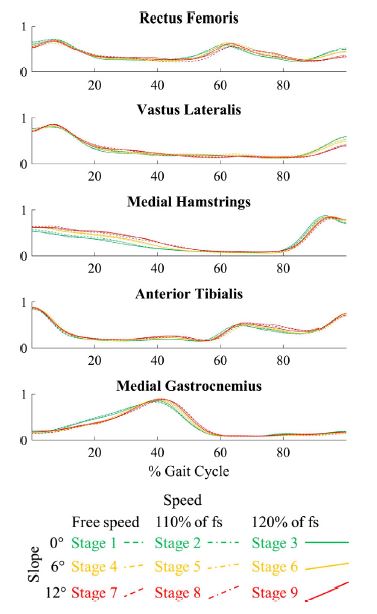 There were minimal changes in EMG signals with walking speed and slope.