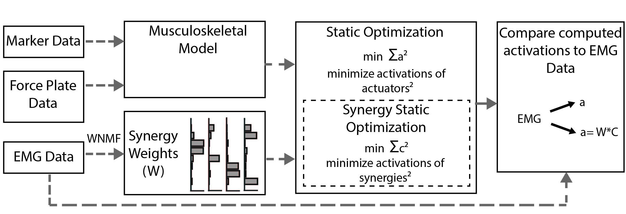 figure depicting flow chart with modeling optimization and muscle activity
