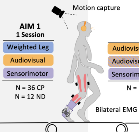 We are using audiovisual and sensorimotor feedback to evaluate motor learning in cerebral palsy while individuals walk on a treadmill.