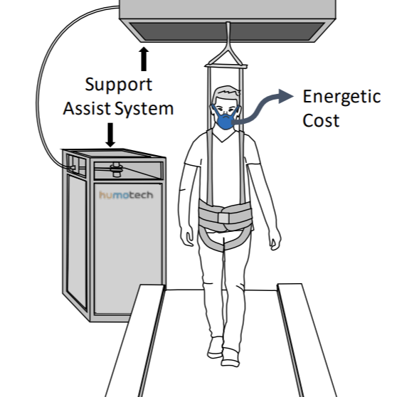Person walking on a treadmill while supported from a body harness and monitoring energetic cost with a face mask