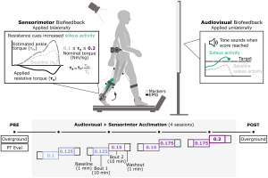 Experimental protocol used to evaluate multi-session adaptation to multimodal biofeedback. Participants completed a four-day protocol using combined audiovisual and sensorimotor biofeedback. Audiovisual biofeedback on soleus activity was provided unilaterally on the more-affected limb whereas sensorimotor biofeedback was administered bilaterally using a resistive ankle exoskeleton. Each session was separated into baseline (1 minute), biofeedback (2, 10-minute bouts), and washout (1 minute) phases. The nominal torque value of the ankle exoskeleton was set at 0.1 Nm/kg during the first bout of the first session and incrementally adjusted by 0.025 Nm/kg over the subsequent bouts, according to the schedule shown. Overground walking data were collected pre- and post-intervention. A licensed physical therapist also performed a full physical examination at the pre-intervention session. Motion capture data were collected during at the pre- and post-intervention sessions and electromyography (EMG) data were collected bilaterally from the vastus lateralis, semitendinosus, soleus, and tibialis anterior across all sessions.